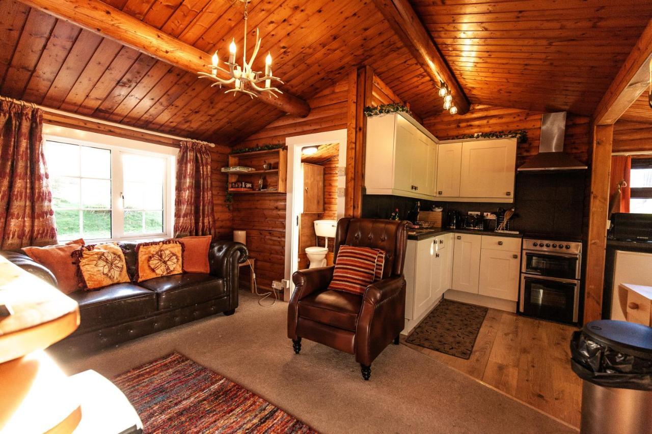 Stunning Log Cabin With Garden In Snowdonia - Hosted By Seren Short Stays Trawsfynydd Luaran gambar