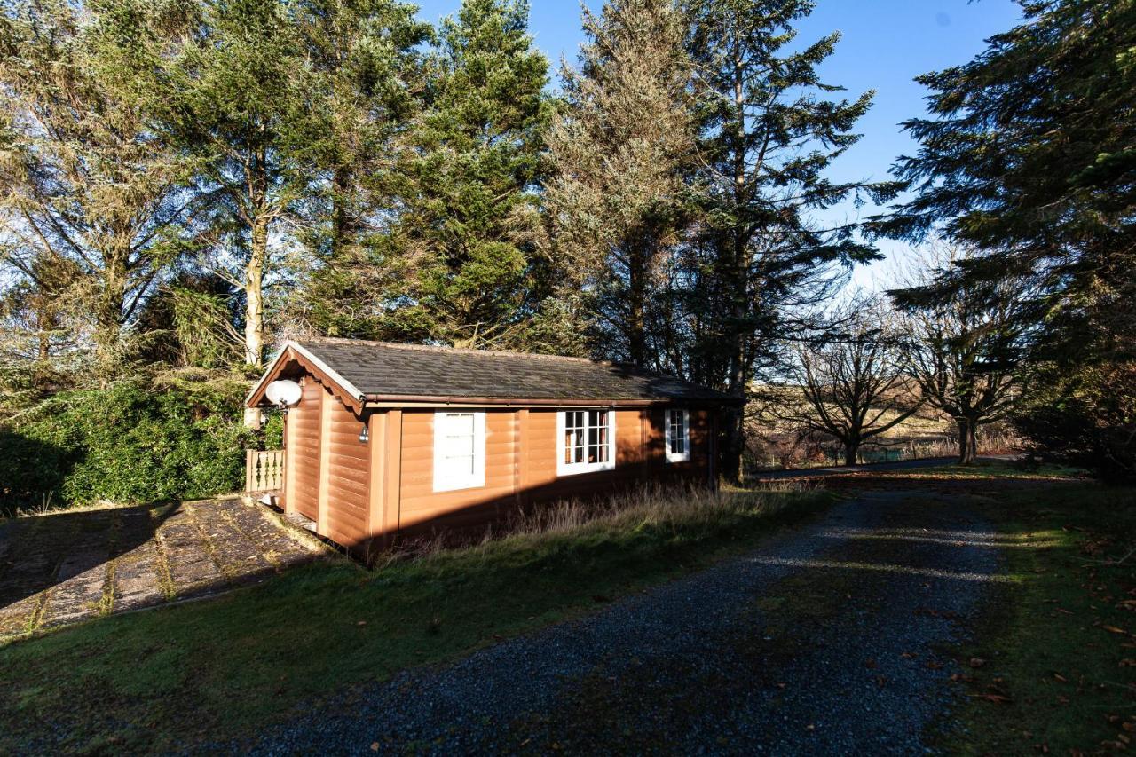 Stunning Log Cabin With Garden In Snowdonia - Hosted By Seren Short Stays Trawsfynydd Luaran gambar